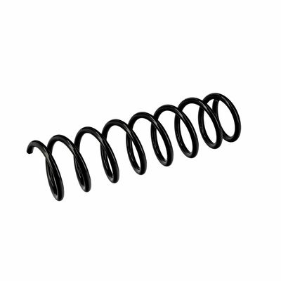 ARC SPIRAL EIBACH R10378 17