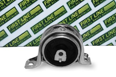 окачване, двигател FIRST LINE FEM3436