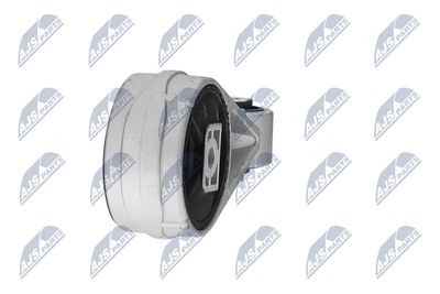 SUPORT MOTOR NTY ZPSFR003 17