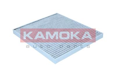 Filter, cabin air 6080187