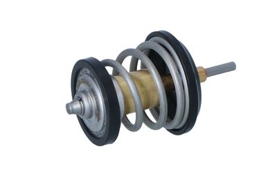 TERMOSTAT LICHID RACIRE NRF 725250 31
