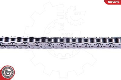 Timing Chain Kit 21SKV149