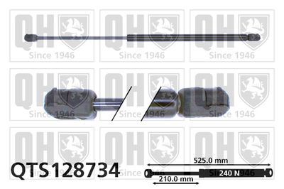 газов амортисьор, капак на двигателя QUINTON HAZELL QTS128734