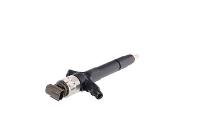 INJECTOR REMANTE 002003000085R 33