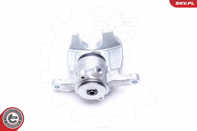 Brake Caliper 44SKV443