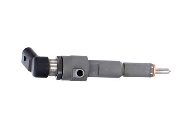 INJECTOR REMANTE 002003001356R 40