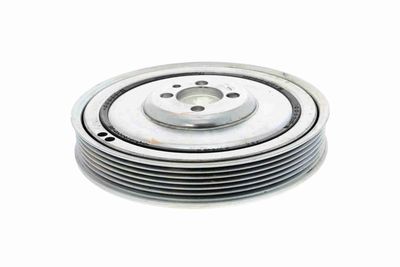 FULIE CUREA ARBORE COTIT VAICO V240025 7