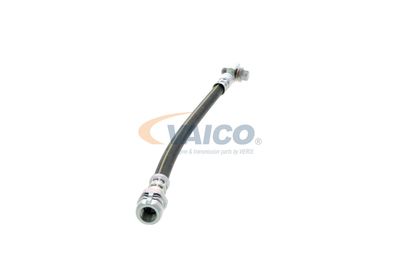 FURTUN FRANA VAICO V101125 16