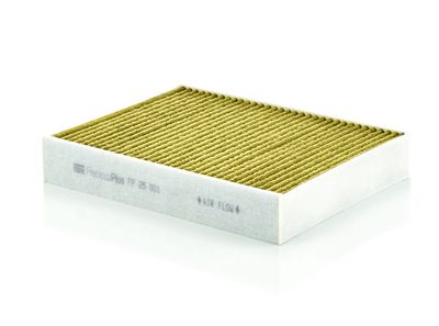 Filter, Innenraumluft