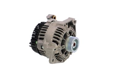 GENERATOR / ALTERNATOR REMANTE 011003000292R 49