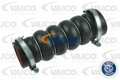 Трубка нагнетаемого воздуха VAICO V25-1042 для FORD C-MAX