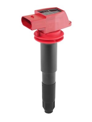 BorgWarner (BERU) Zündspule