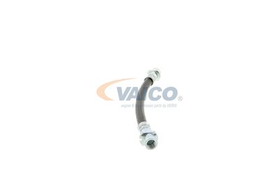 FURTUN FRANA VAICO V404114 48