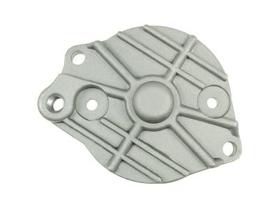 AS-PL Starterdeckel, Vergaser