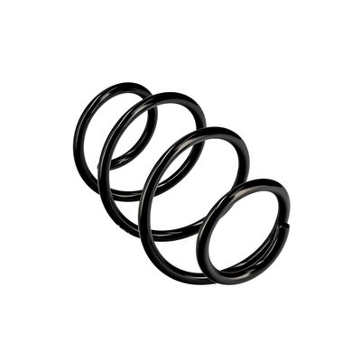 ARC SPIRAL EIBACH R10248 11