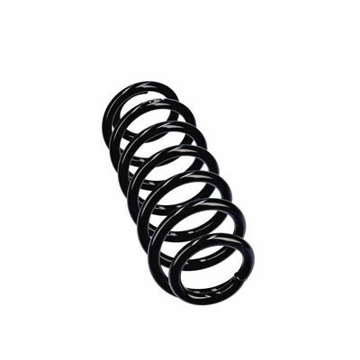 ARC SPIRAL EIBACH R13605 12