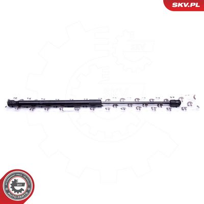 Dujinė spyruoklė, gaubtas