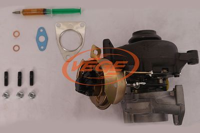 LADER AUFLADUNG VEGE 45831915 2