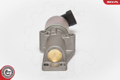 EGR Valve 14SKV065