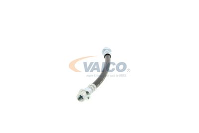FURTUN FRANA VAICO V404114 25