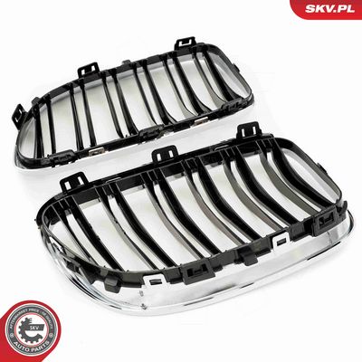 GRILA RADIATOR ESEN SKV 66SKV118 4