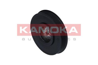 Belt Pulley, crankshaft RW022