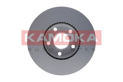 Brake Disc 1032028