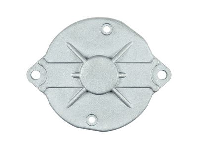 AS-PL Starterdeckel, Vergaser