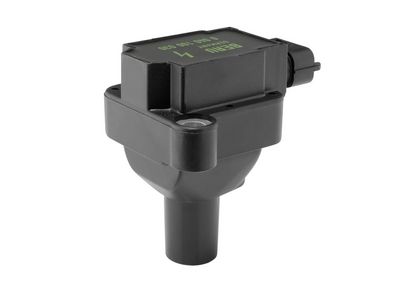 Süütepool BorgWarner (BERU) ZS030