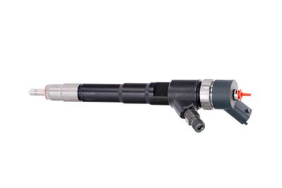 INJECTOR REMANTE 002003000156R 14