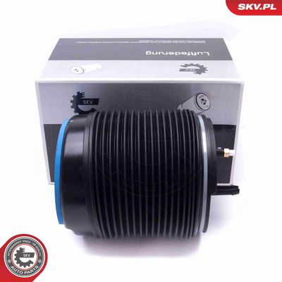 ARC PNEUMATIC DIRECTIE ESEN SKV 58SKV073