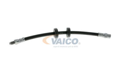 FURTUN FRANA VAICO V101043 57