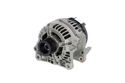 GENERATOR / ALTERNATOR REMANTE 011003000503R 65