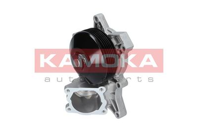 Water Pump, engine cooling T0048