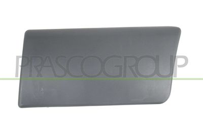 ELEMENTE DECORATIVE/PROTECTIE PORTIERA