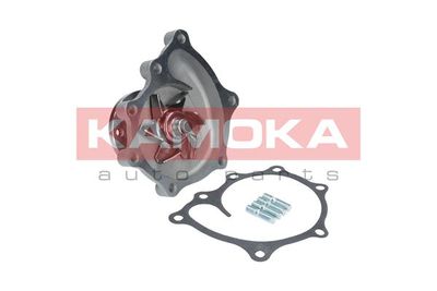 Water Pump, engine cooling T0169