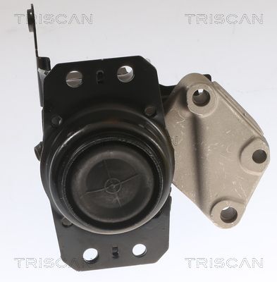 TRISCAN Lagerung, Automatikgetriebe (8505 11208)