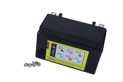 BATERIE DE PORNIRE MAXGEAR 859036 2