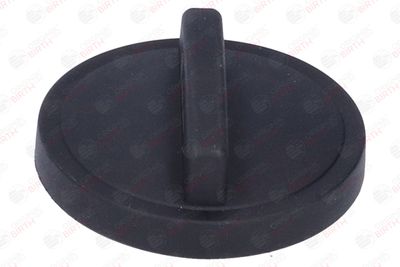 BUSON UMPLERE ULEI BIRTH 8053 10