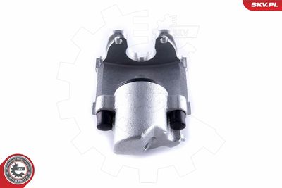 Brake Caliper 55SKV602