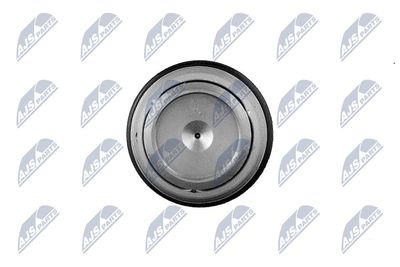 SUPAPA LIMITARE PRESIUNE SISTEM COMMON-RAIL NTY ESCVRE000 3