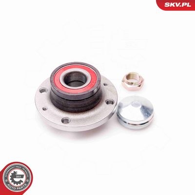 SET RULMENT ROATA ESEN SKV 29SKV038 1