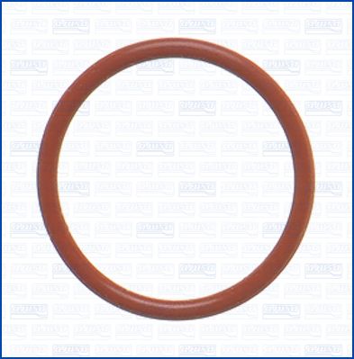 GARNITURA CONDUCTA LICHID DE RACIRE