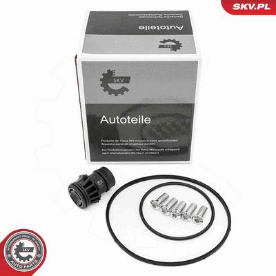 SET REPARATIE POMPA VACUUM (SISTE FRANA)