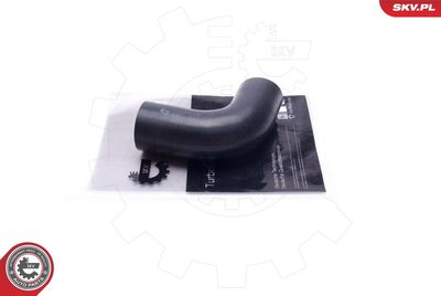 FURTUN EAR SUPRAALIMENTARE