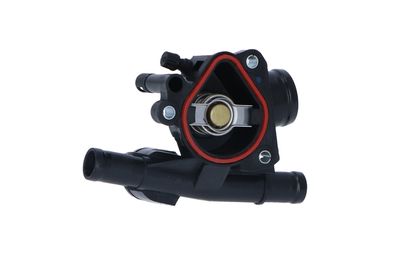 TERMOSTAT LICHID RACIRE NRF 725045 45