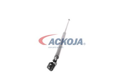 AMORTIZOR PORTBAGAJ ACKOJA A320092 50