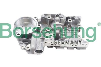 Zestaw naprawczy, mechatronika (autom. skrz. biegów) BORSEHUNG B10925