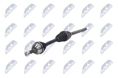 PLANETARA NTY NPWPE081 19