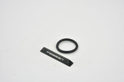 GARNITURA FLANSA LICHID RACIRE FEBEST TTTRAFII 7